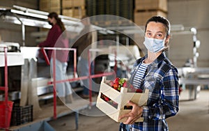Female farmer in protective mask standing with crate of strawberries at farm warehouse