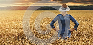 female farmer standing and looking to a golden wheat crop field at sunset. back view copy space