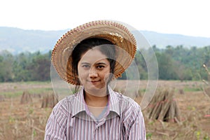 Female farmer standing and out focus the stack of tapioca limb in the farm