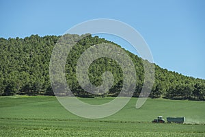 A female farmer transporting fertilizer with a tractor trailer on a road between fields at the foot of a hill