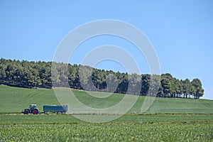 A female farmer transporting fertilizer with a tractor trailer on a road between grass fields at the foot of a forested hill on a