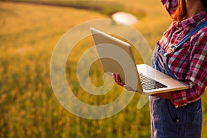 Female farmer using laptop computer in gold wheat crop field, concept of modern smart farming by using electronics