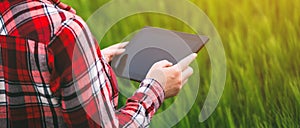 Female farmer using tablet computer in wheat crop field