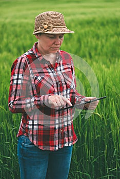 Female farmer using tablet computer in wheat crop field