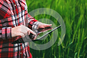 Female farmer using tablet computer in wheat crop field