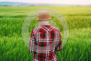 Female farmer using tablet computer in wheat crop field