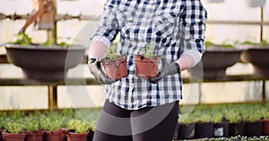 Female Farner Examining Plants at Greenhouse