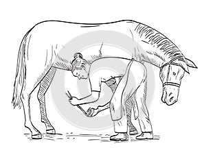 Female Farrier Placing Horseshoe on Horse Hoof Side View Comics Style Drawing