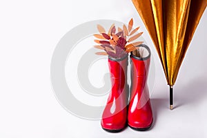 Female fashion autumn accessories shoes and umbrella on pastel color background. Beauty and fashion concept