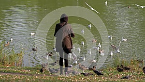 Female feeds birds near the river.