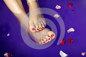 Female feet in bath, blue- violet background of colourful soak with flower petals