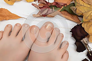 Female feet with beige nail polish. Woman legs with beige nail design on wooden background with fallen leaves