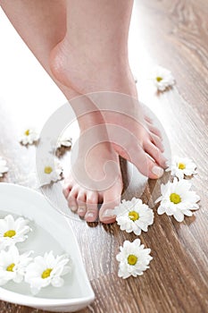 Female feet on the dark floorboard