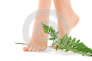 Female feet with green leaf