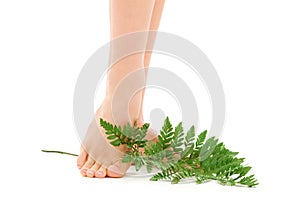 Female feet with green leaf