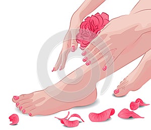 Female feet and hands with pink rose and petals