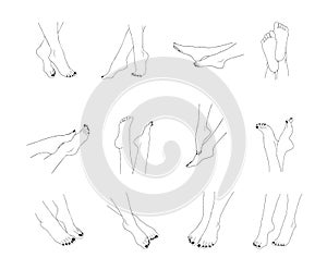 Female feet outline isolated on white background. Pedicure concept. Vector Illustration of elegant woman legs in a