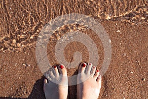 Female feet with painted nails on the sand in the water on the seashore. Female feet with red pedicure on the beach