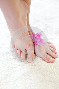 Female feet with pink orchid.