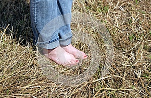 Female feet in rolled blue jeans standing barefoot on hay closeup