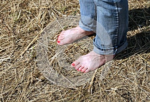 Female feet in rolled blue jeans standing barefoot on hay closeup
