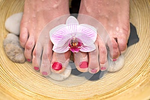 Female feet in spa bowl with sea salt, foot bath.