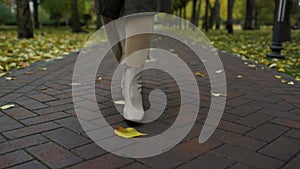 Female feet in stylish boots going in october park. Woman legs walking path.