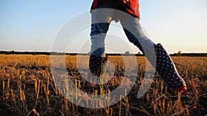 Female feet of young farmer going through the barley plantation at sunset. Legs of agronomist in boots walking among