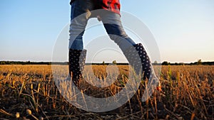 Female feet of young farmer going through the barley plantation at sunset. Legs of agronomist in boots walking among