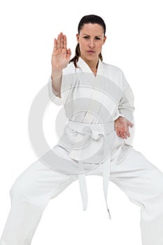 Female fighter performing karate stance