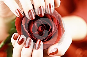 Female fingers with a beautiful red manicure holding a red rose.