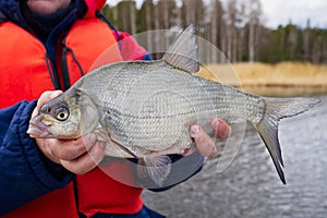 Female Fisherwoman Proudly Holding a Large Bream Catch in Her Hands