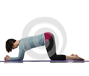 Female fitness instructor doing stretching for hands legs abdominals bar exercise in gym work out isolated on white