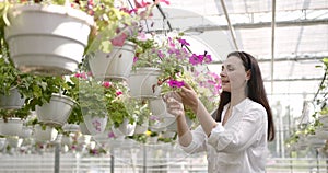 Female florist cuts the plant at the garden centre