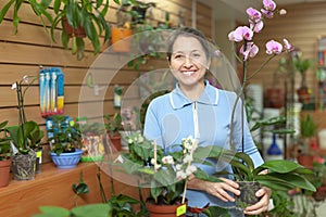 Female florist with orchid plant