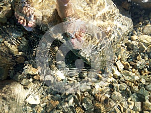 Female Foot in Blue Pangong tso (Lake) water