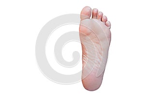 female foot isolated on white background