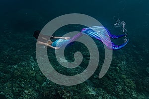 Female free diver in sexy mermaid costume.