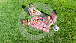 Female friends with dog having picnic in park, girls sitting on grass and eating healthy meals outdoors, aerial