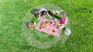 Female friends with dog having picnic in park, girls sitting on grass and eating healthy meals outdoors, aerial