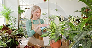 Female Gardener Caring for Indoor Plants in a Bright Flower Shop