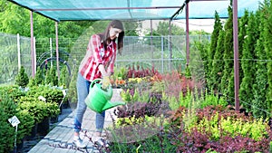 Female gardener or a florist is pouring potted plants from a watering can in a garden center. caring of plants in the