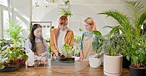 Female Gardener and Friends Cultivate Indoor Plants in Greenhouse