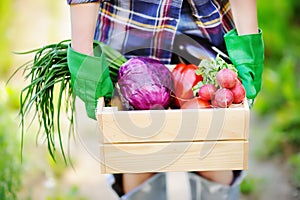 Female gardener holding wooden crate with fresh organic vegetables from farm