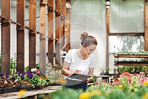 Female gardener inspecting flowers farm inside greenhouse