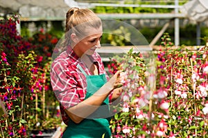 Female gardener in market garden or nursery