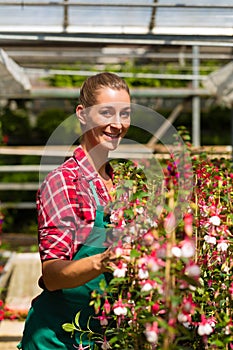 Female gardener in market garden or nursery