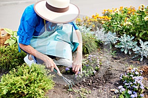 Female Gardener Planting Flowers