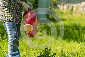 female gardener pour water on the grass with the sprinkler or watering can at the summer farms