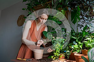 Female gardener wearing orange dress at home transplanting plants into new